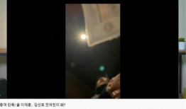 乱乱视频,揭秘网络世界的奇幻与混乱